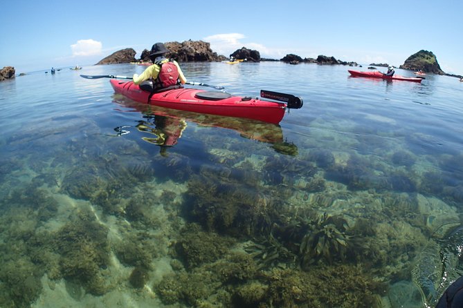 First Seakayak Tour - Cancellation Policy