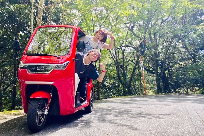 Electric Bike Rental or Tuktuk Tour in Ise - Restrictions and Requirements