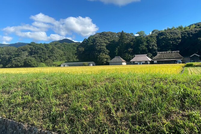 Private Guided Tour With a Rental Electric Bike or Tuktuk in Ise - Additional Information