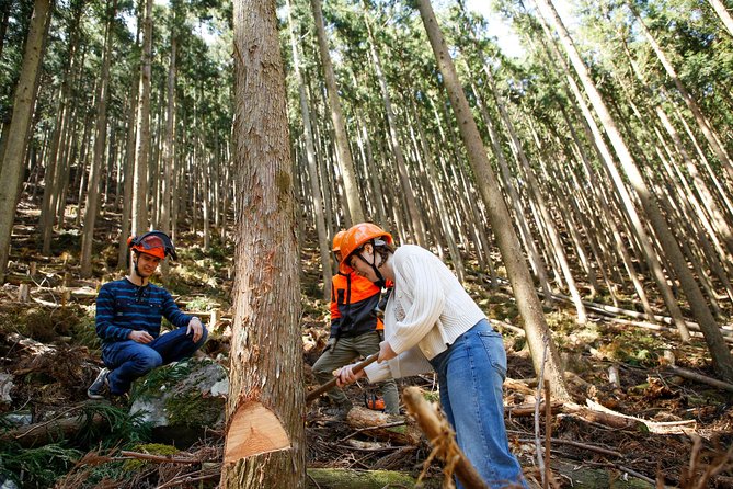 Discover Foresters Life Tour (1-Day) - Inclusions