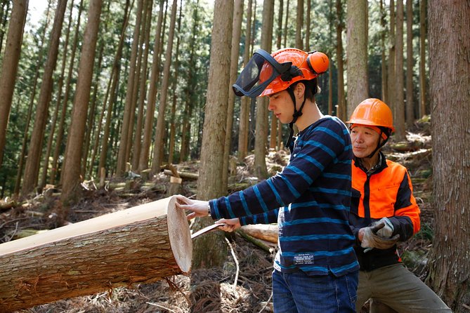 Discover Foresters Life Tour (1-Day) - Tour Details
