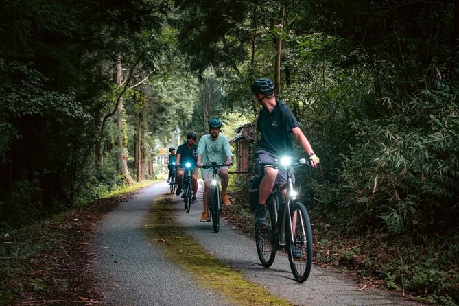 E-Bike Tour in the Japanese Countryside - Weather Conditions and Flexibility