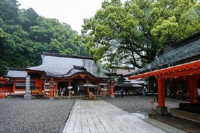 Kumano Kodo Half Day Daimonzaka and Nachi Taisha Tour - Itinerary