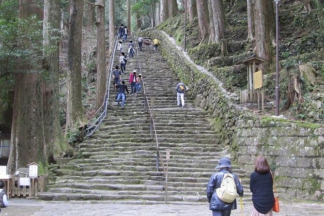 Kumano Kodo Half Day Daimonzaka and Nachi Taisha Tour - Cancellation Policy