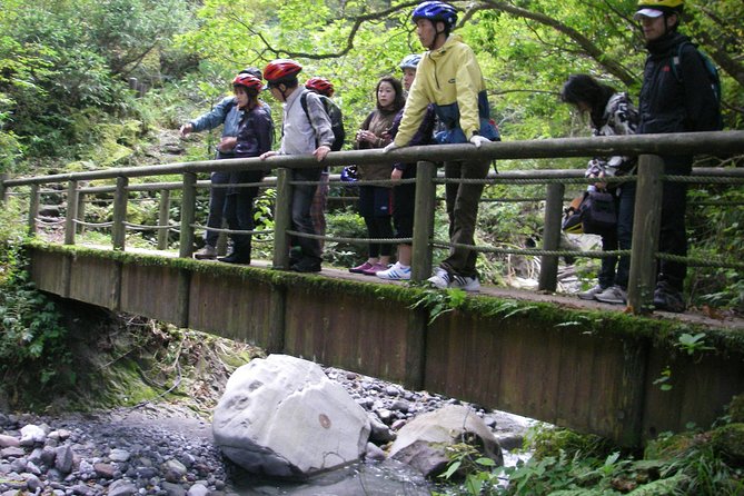 Downhill Biking - Safety Precautions for Downhill Biking