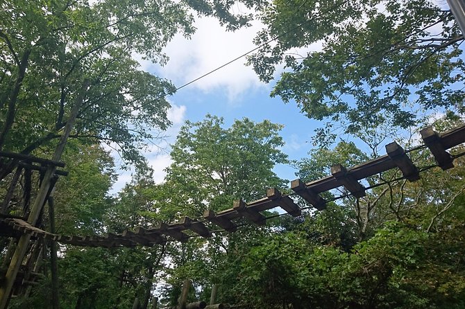 Aerial Athletic Karasu Tengu - Additional Information