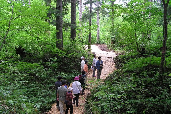 Yakusugi Cedar Forest Walking Tour on Yakushima Island - Cancellation Policy