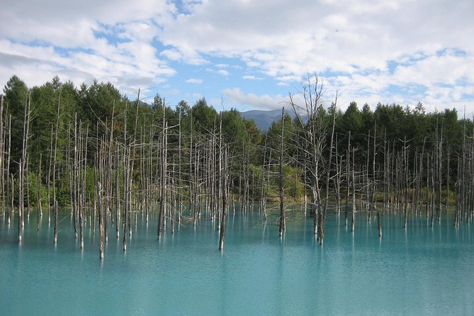 Private Tour: Full-Day Walking Tour With Professional Local Guide in Yakushima Island - Overview