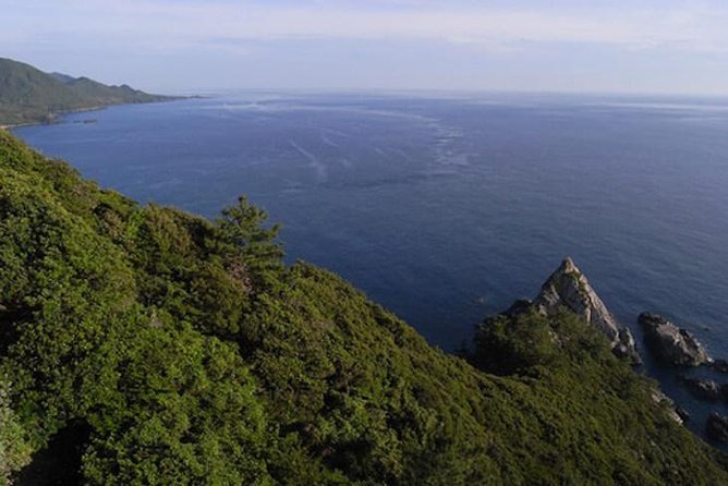 Private Tour: Full-Day Walking Tour With Professional Local Guide in Yakushima Island - What To Expect and Cancellation Policy