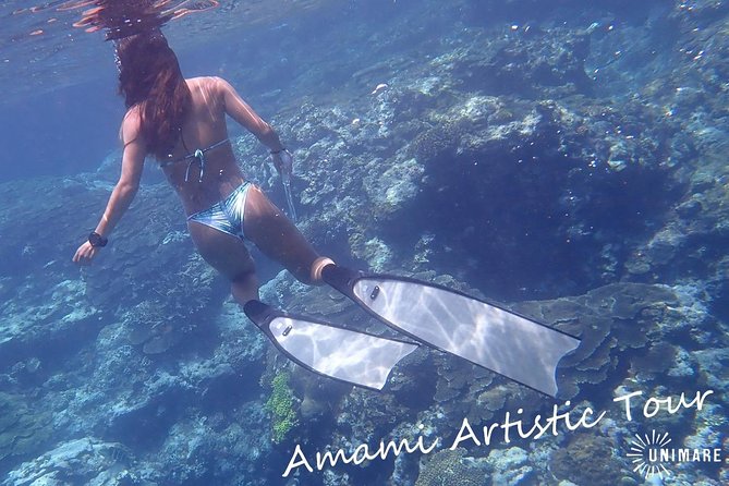 Amami Oshima Skin Diving Photo & Movie Tour! - Pickup Information