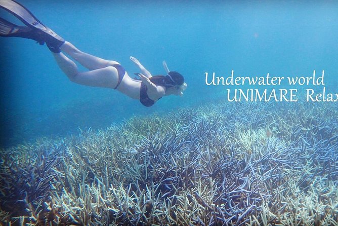 Amami Oshima Skin Diving Photo & Movie Tour! - Tour Details