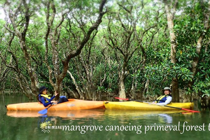 Amami Mangrove Canoe - Location and Meeting Point