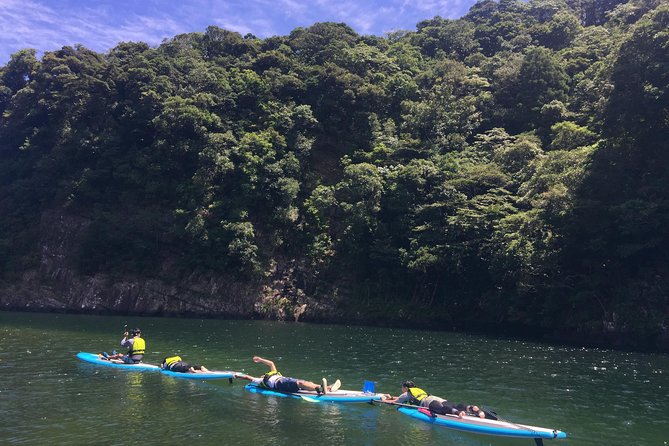 [Recommended on Arrival Date or Before Leaving! ] Relaxing and Relaxing Water Walk Awakawa River SUP - What to Expect