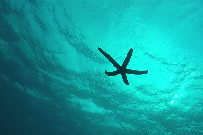 Two-Hour Group Snorkeling Trip to the Blue Cave  - Onna-son - Capturing Memorable Moments: Photos From the Trip