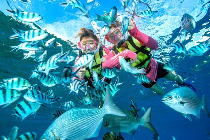 Easily Set Sail by Boat! / Blue Cave Snorkel - Traveler Photos and Reviews