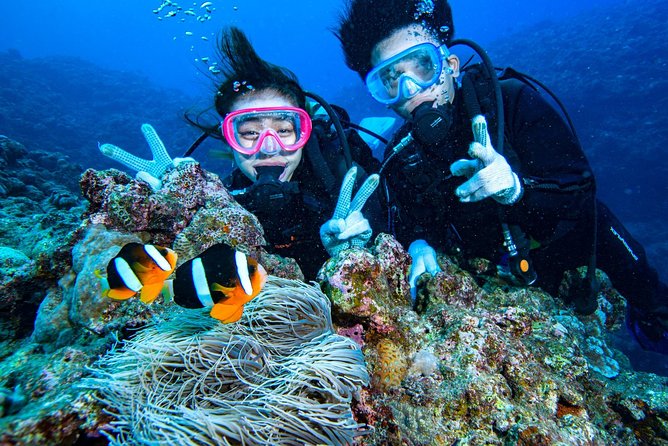 Easily Set Sail by Boat! / Blue Cave Experience Diving - Cancellation Policy