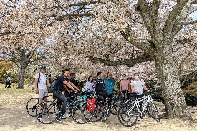 Nara Heart Of Nature Bike Tour Quick Takeaways
