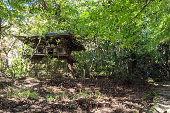 Nara - Heart of Nature Bike Tour - Tour Meeting Point