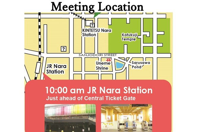 All Must-Sees in 3 Hours - Nara Park Classic Tour! - Enchanting Deer Encounters