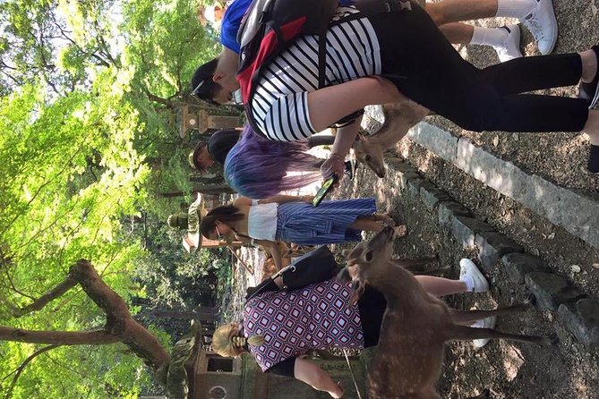 All Must-Sees in 3 Hours - Nara Park Classic Tour! - The Sum Up