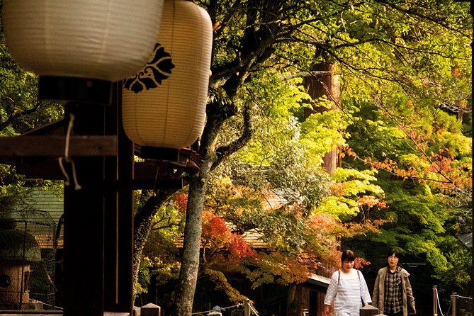 Nara Custom Full Day Tour - Pricing and Booking