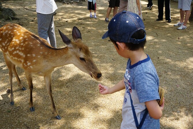 Nara Half Day Walking Tour With Todaiji And Deer - Frequently Asked Questions