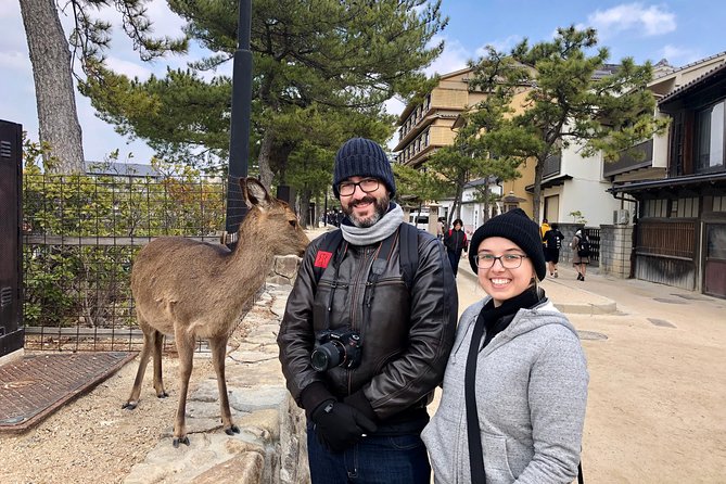 Nara Full-Day Private Tour With Government-Licensed Guide - Discover the Ancient City of Nara