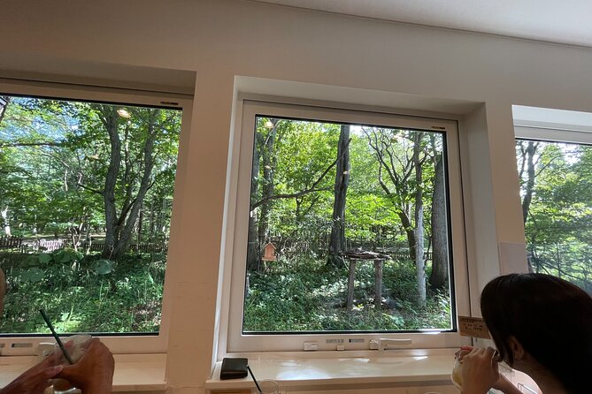 Chitose River E-Bike Cycling and The Birdwatching Cafe - Scenic Routes Along the Chitose River