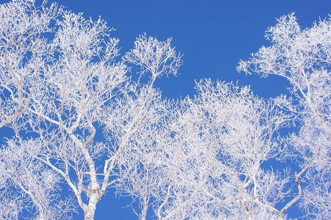 Niseko 4 Nights Luxury Hotel With All Days Lift Pass &Rental Gear - Frequently Asked Questions