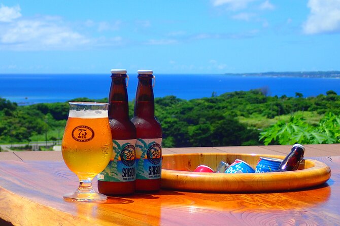 Okinawa Scuba Diving for Certified Divers (3 Boat Dives Lunch) - Dive Schedule and Itinerary