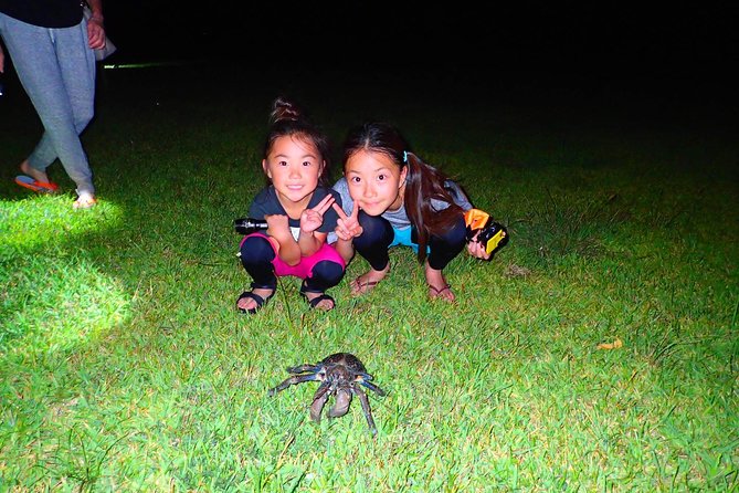[Okinawa Iriomote] Night Adventure Tour - Exploring the Untouched Wilderness of Iriomote Island at Night
