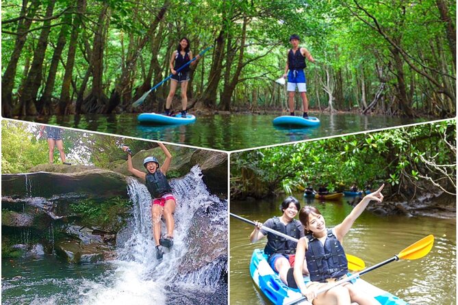 [Okinawa Iriomote] SUP/Canoe Tour at Mangrove Forest! Splash Canyoning!! - Explore the Hidden Wonders of Iriomote Islands Mangrove Forest