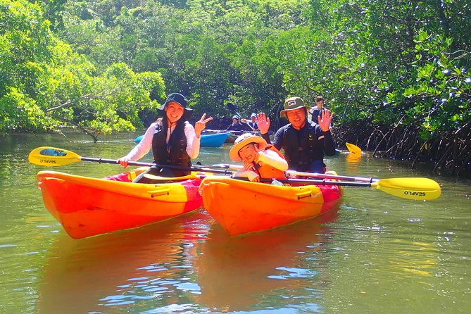 Iriomote SUP & Canoe Tour At Mangrove Forest In Okinawa - Frequently Asked Questions
