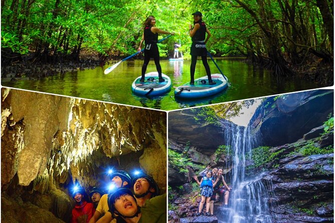 Okinawa Iriomote Sup Canoe Tour At Mangrove Amp Limestone Cave Exploration Quick Takeaways