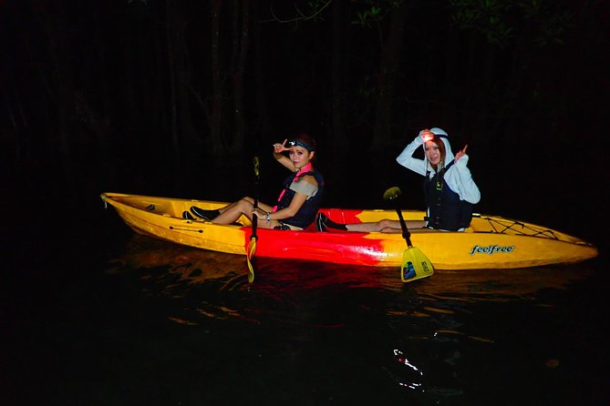 [Okinawa Iriomote] Night SUP/Canoe Tour in Iriomote Island - Tour Overview