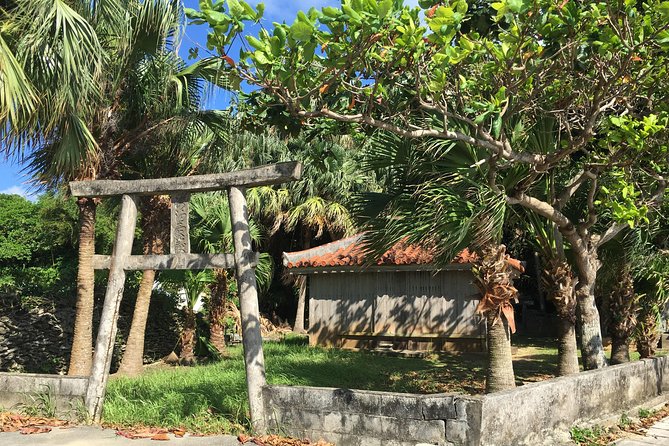 Half-Day Walking Tour to Indigenous Iriomote Village 2024 - Iriomote-jima - Inclusions and Meeting Details