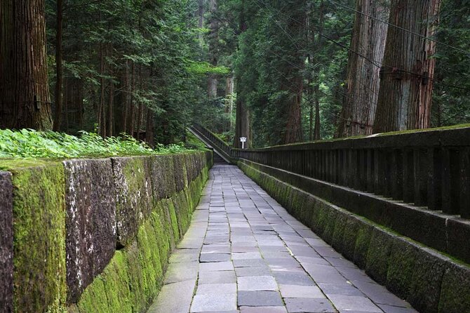 Privaate Morning Hike Around Nikko Toshogu Shrine - Pricing and Booking Details