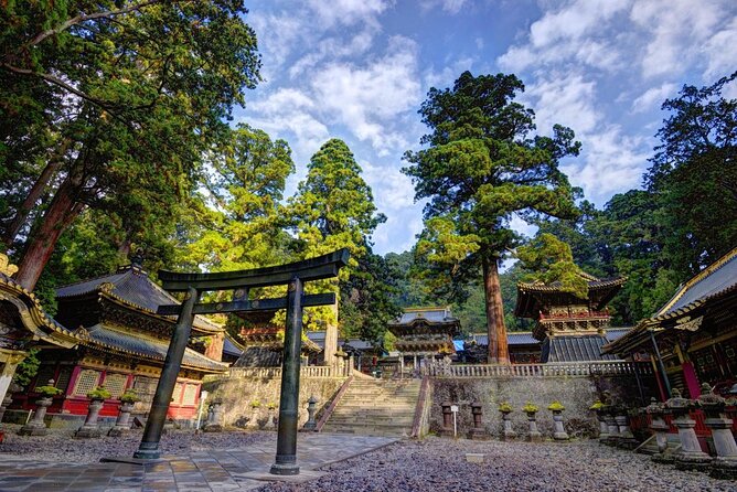 Nikko 1 Day Private Walking Tour - Toshogu Shrine Visit