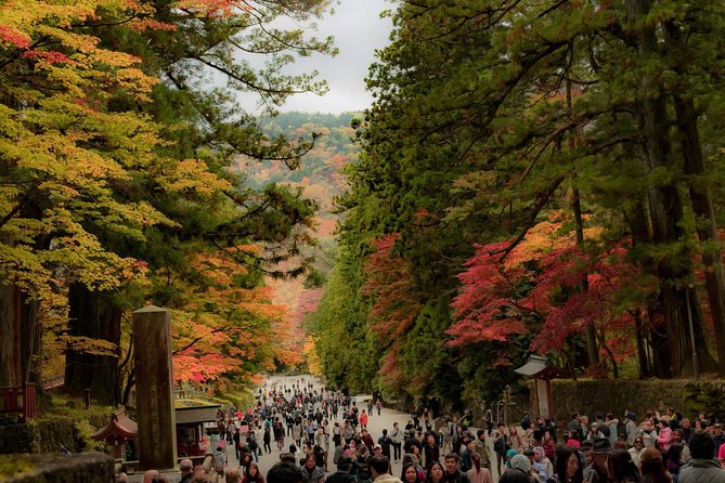 Nikko Custom Full Day Tour - Pricing and Group Size
