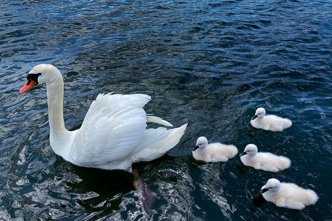 Mt Fuji Crafts Village and Lakeside Kid-Friendly Bike Tour - Cancellation Policy