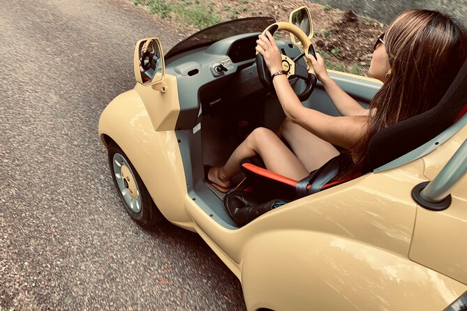 Cute & Fun E-Car Tour Following Guide Around Lake Kawaguchiko - The Sum Up