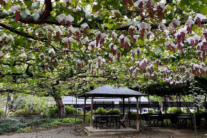 Full-Day Mt. Fuji & Wine and Food Boutique Winery Hopping Tour - Frequently Asked Questions