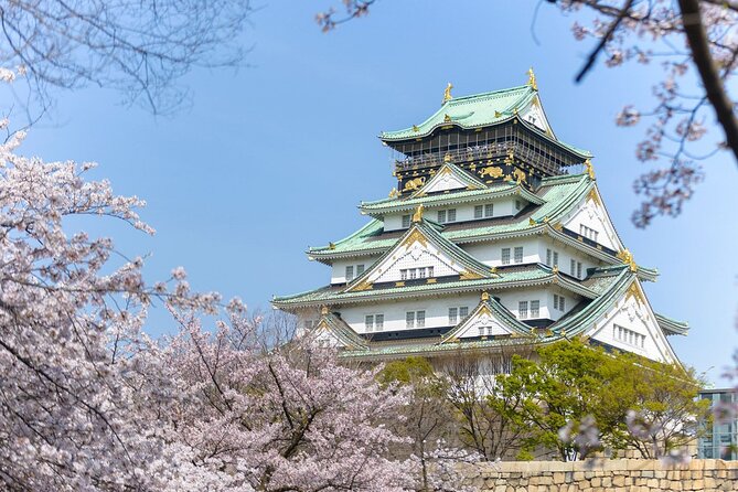 Osaka Airport Transfers : Kansai Airport KIX to Osaka City in Business Car - Additional Assistance and Information