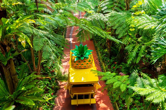 Nago Pineapple Park Attraction Tickets - Traveler Photos