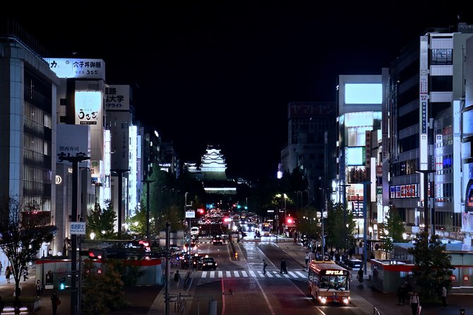 Himeji Custom Half Day - What To Expect