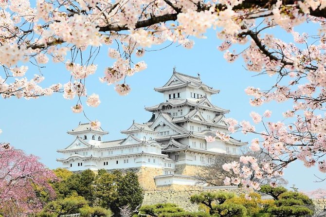 Himeji Half-Day Private Tour With Government-Licensed Guide - Tour Highlights