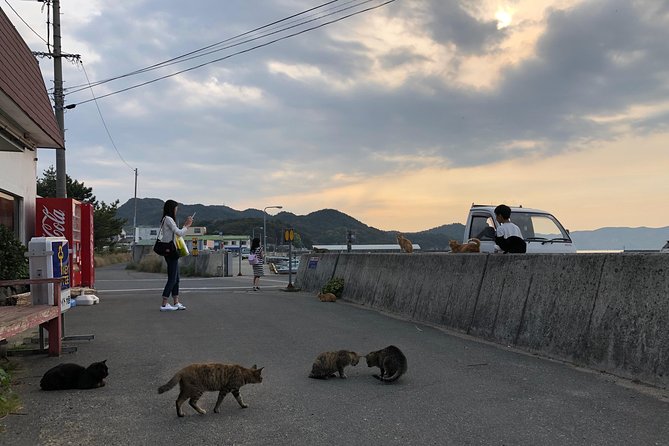 Private Scenic Cycling in Teshima Island Includes Teshima Museum - Discovering Hidden Gems on Teshima Island