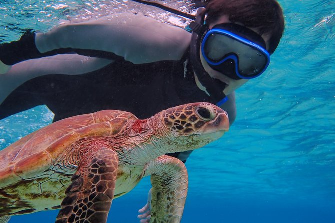 [Okinawa Miyako] SUP / Canoe Sea Turtle Snorkeling !! (Half-Day Course) - Additional Information