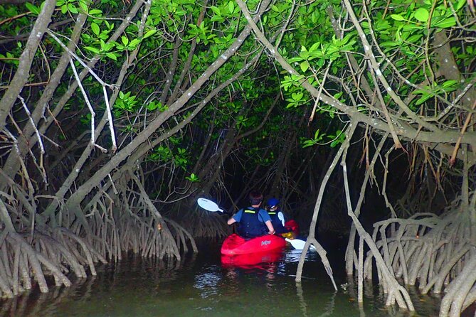[Okinawa Miyako] Great Adventure! Starry Night Canoe!! - Cancellation Policy and Additional Information