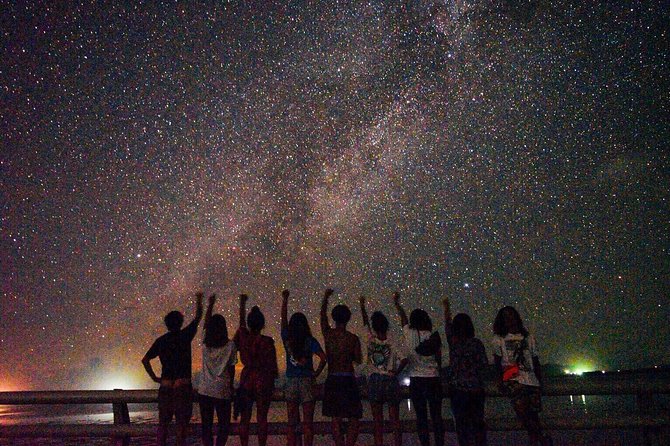 Okinawa Miyako Natural Planetarium Starry Sky Amp Subtropical Jungle Night Tour Quick Takeaways